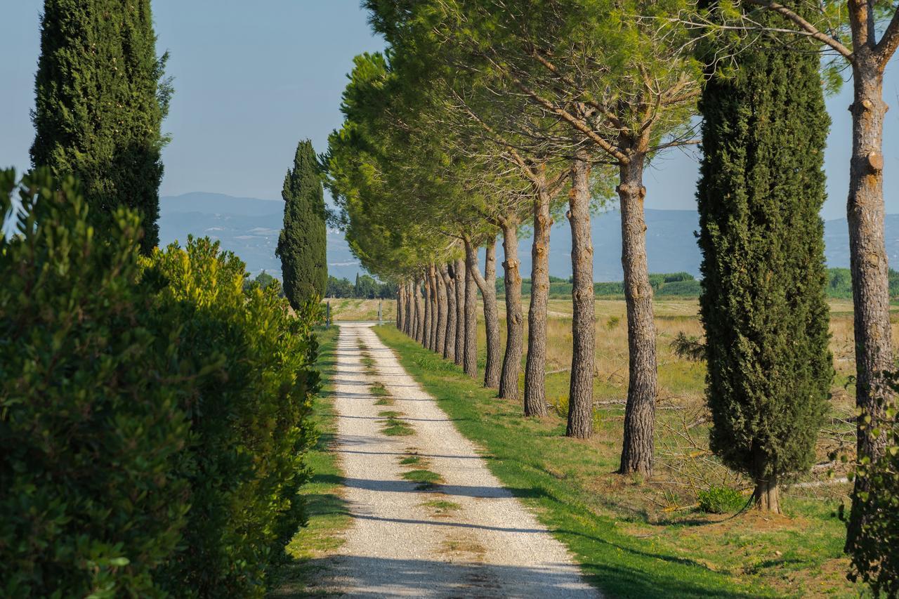 Agriturismo Bandinelli Braccagni Buitenkant foto