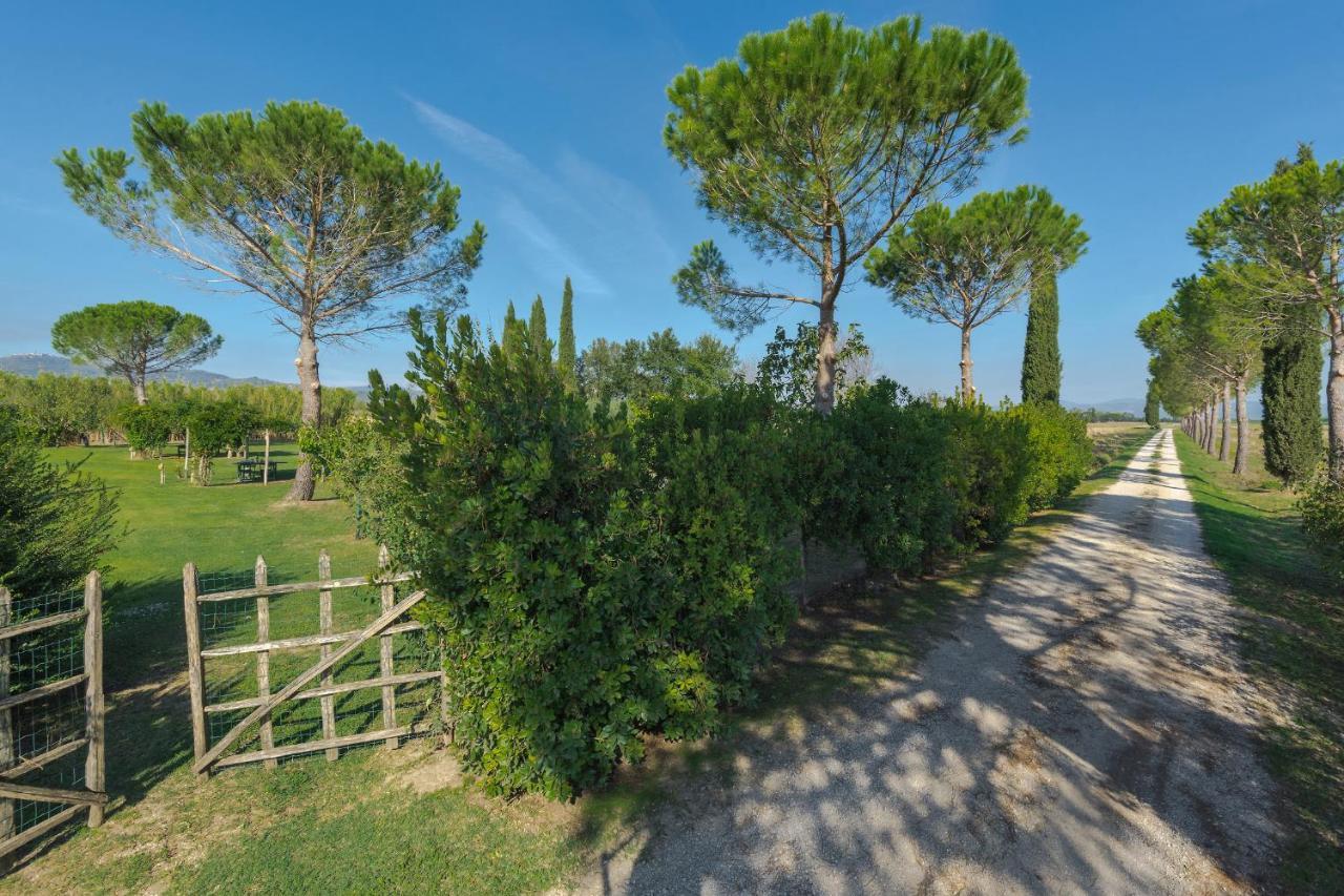 Agriturismo Bandinelli Braccagni Buitenkant foto